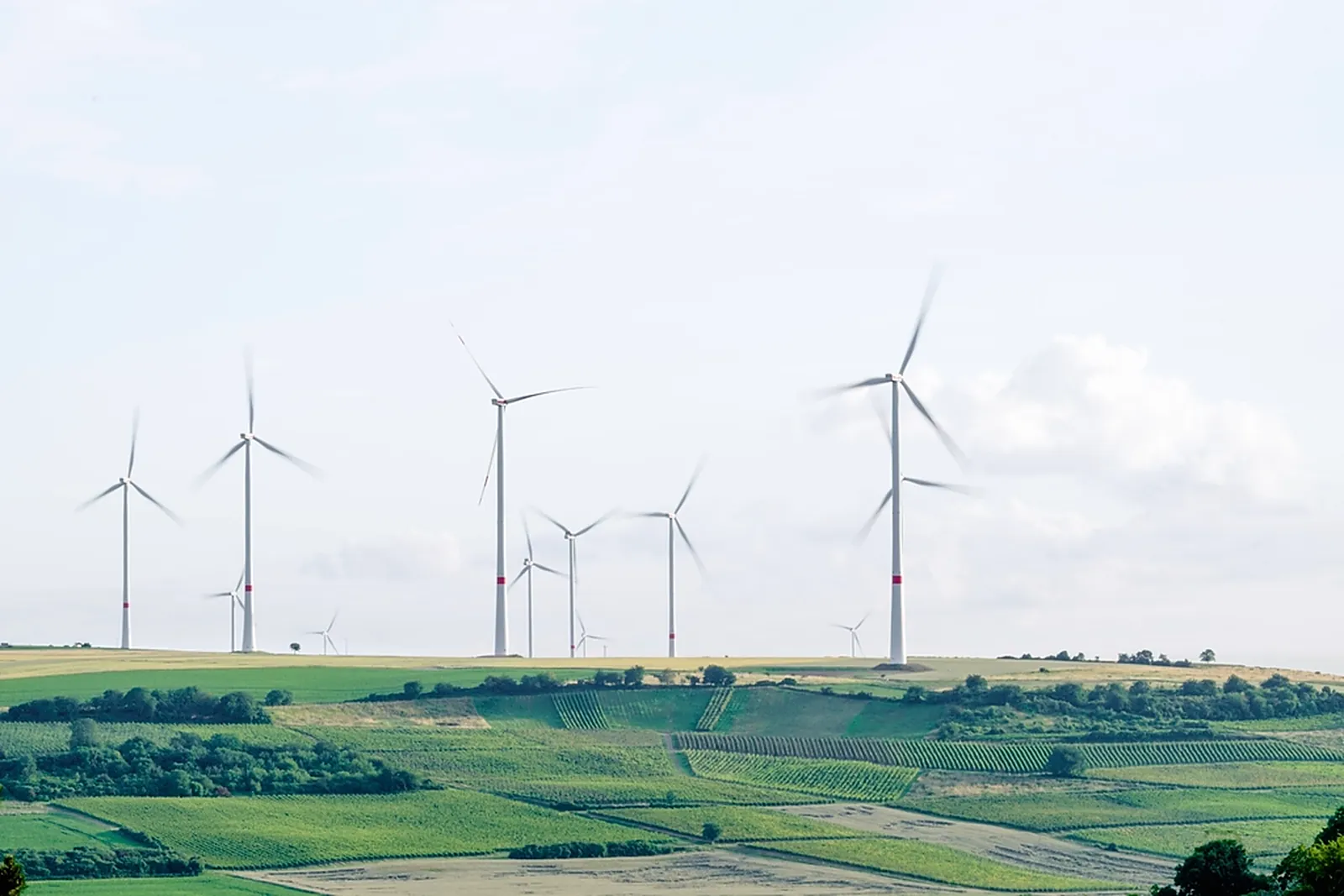 Windpark über landwirtschaftlich genutzten Feldern
